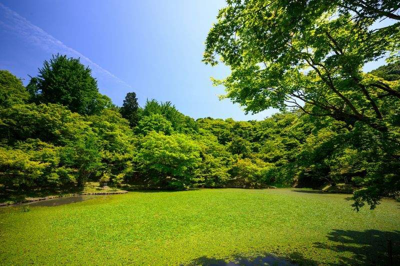 翠景庭園設計